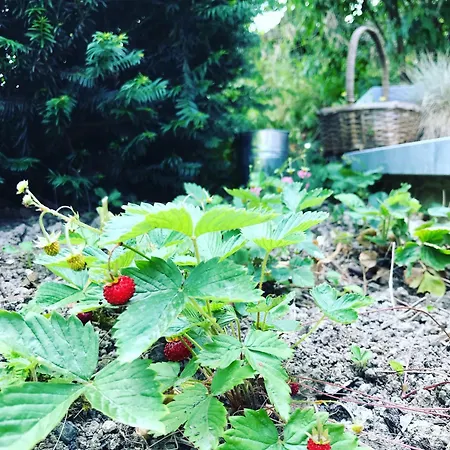 « le Loma » Ancienne Fermette * Hotton