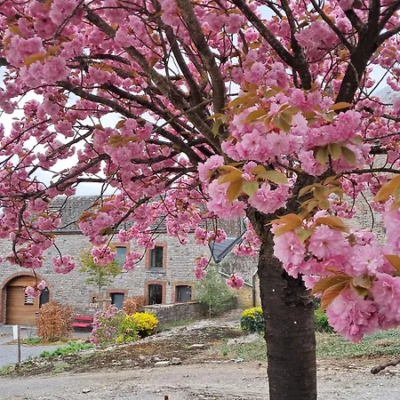 Vakantiehuis « le Loma » Ancienne Fermette *
